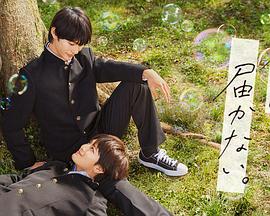 泛页面关键词1119